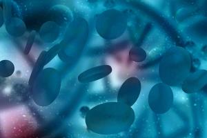 Arlo-Cel Yields Efficacy, Safety in Previously Treated R/R Multiple Myeloma 