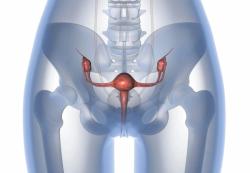Avelumab and Talazoparib Demonstrate Promising Safety Profile Recurrent pMMR Endometrial Cancer