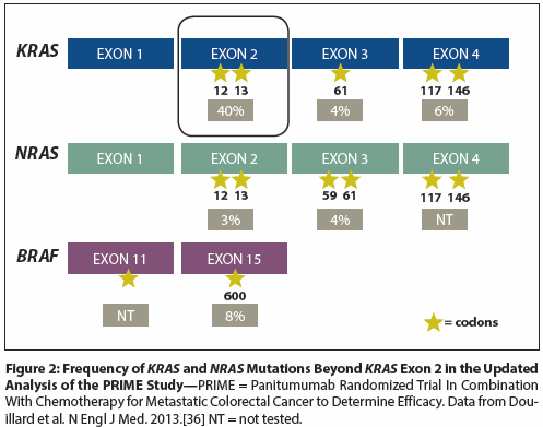 Colorectal Cancer How Emerging Molecular Understanding Affects Treatment Decisions Colorectal Cancer How Emerging Molecular Understanding Affects Treatment Decisions