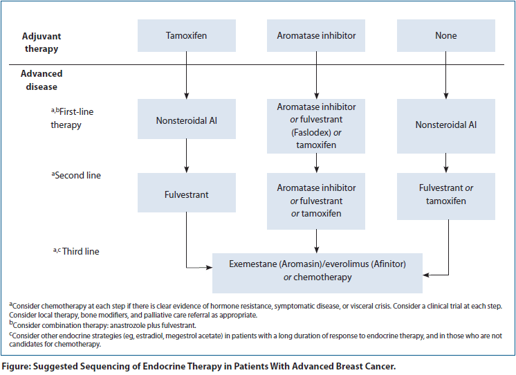 cancer hormonal therapies)