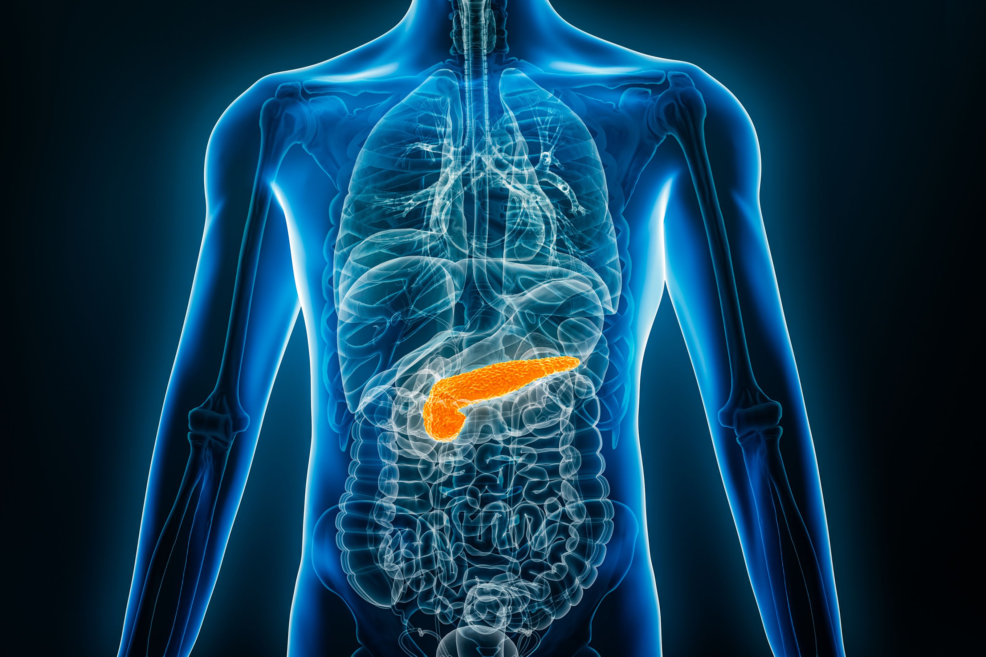 KRAS-Targeted Therapy May Lead to Cancer Prevention: © Matthieu - stock.adobe.com