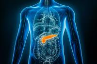 KRAS-Targeted Therapy May Lead to Cancer Prevention: © Matthieu - stock.adobe.com
