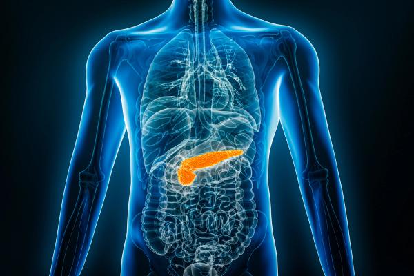 KRAS-Targeted Therapy May Lead to Cancer Prevention: © Matthieu - stock.adobe.com