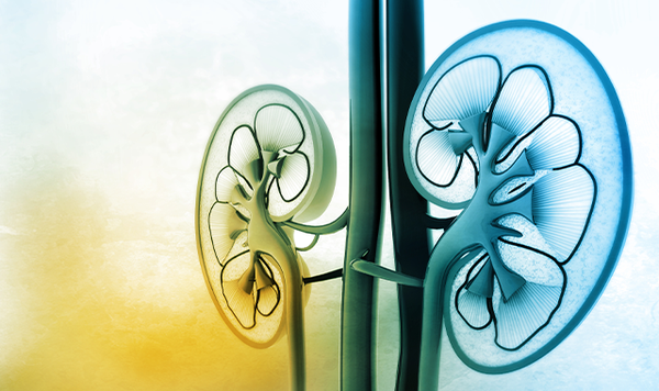 No differences in complication rate were observed between the MIXREAL and control groups among those treated for kidney cancer in the REALITATEM trial.