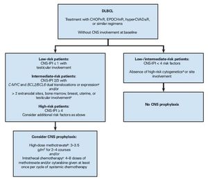 How to Decide Which DLBCL Patients Should Receive CNS Prophylaxis