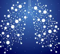 No dose-limiting toxicities were observed among 12 patients with advanced EGFR-mutated NSCLC treated with quaratusugene ozeplasmid and osimertinib.