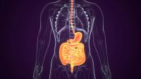 A Phase 1, Phase 2, and Phase 3 Trial in Gastrointestinal Cancer from ESMO: © PIC4U - stock.adobe.com