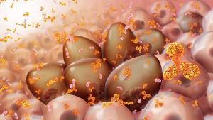 Talquetamab Shows Durable and Continuous Response Treating R/R Multiple Myeloma