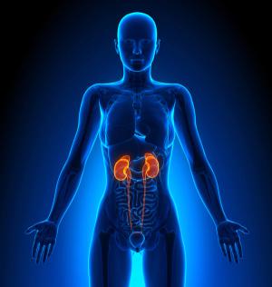 Long-Term Survival Benefit Reported for Pembrolizumab/Axitinib Combo in RCC
