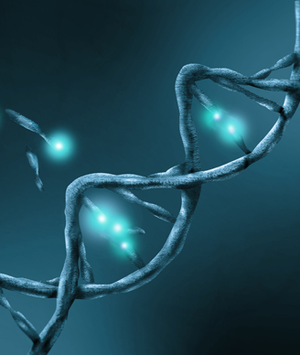 Explore how oncogenes and signaling pathways converge and diverge in cancer, shaping diagnostic and therapeutic strategies for personalized interventions.