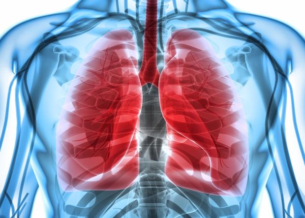 Updated findings from the TRUST-I and TRUST-II trials may reflect the importance of molecular testing in non–small cell lung cancer therapy.