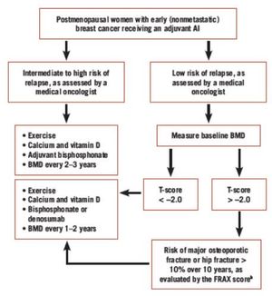 Bone-Targeted Therapy in Early Breast Cancer