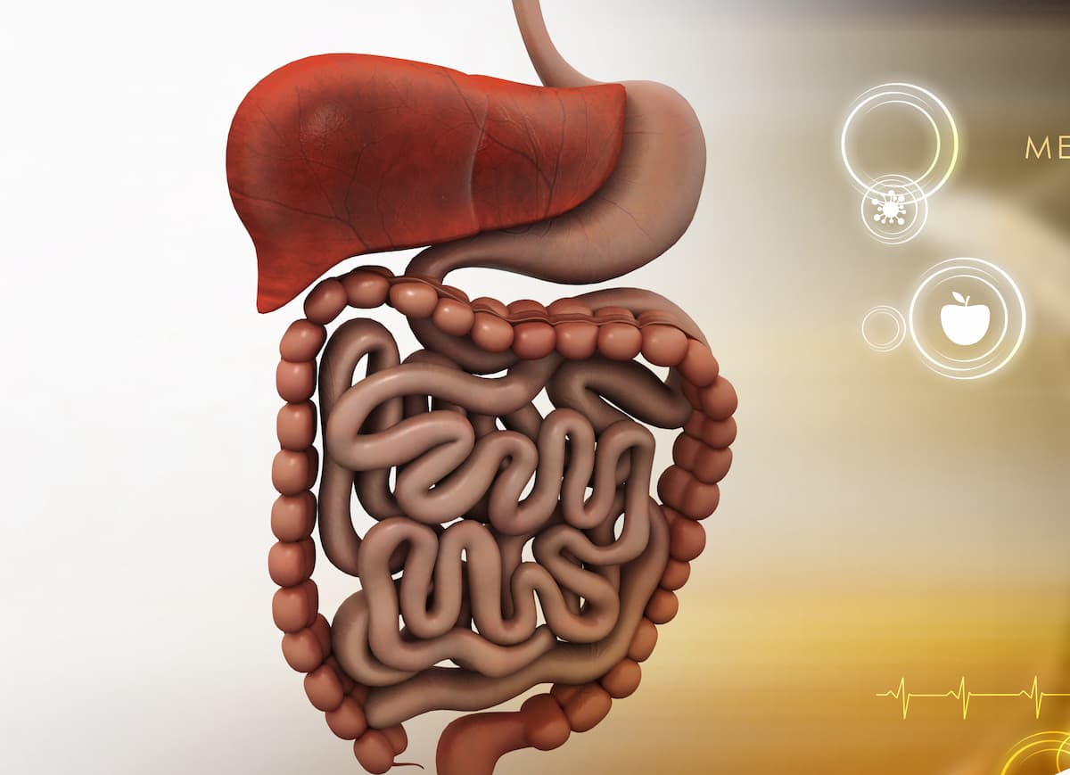 Domvanalimab Plus Zimberelimab Improve Efficacy In Gastrointestinal Cancers