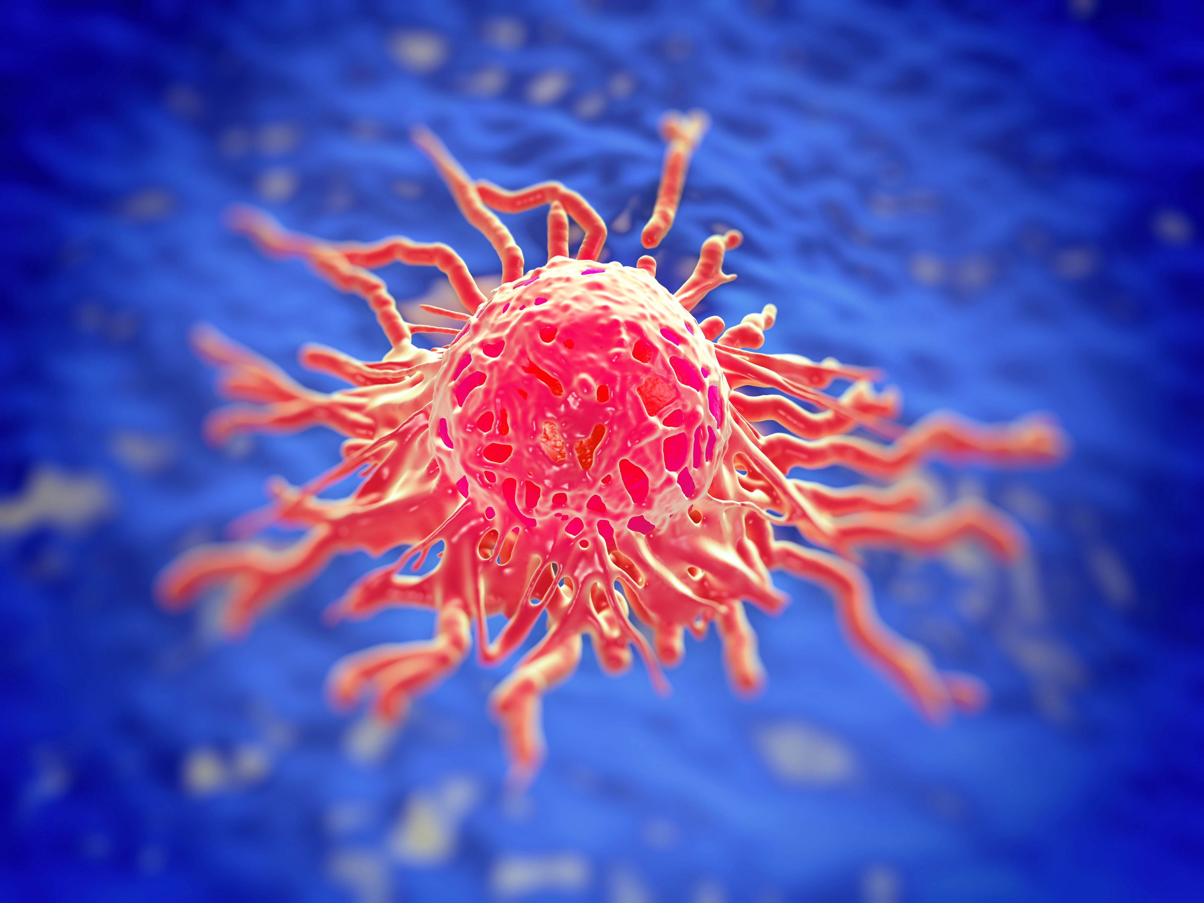 AdenoVerse Platform Receives FDA Designation for HPV-Associated Cancers: © PRB ARTS - stock.adobe.com