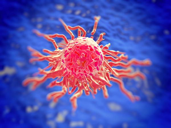 AdenoVerse Platform Receives FDA Designation for HPV-Associated Cancers: © PRB ARTS - stock.adobe.com