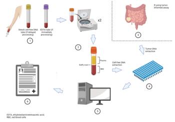 Circulating Tumor DNA as a Marker of Minimal Residual Disease