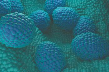 Value of Geriatric Assessment in Patients With Genitourinary Carcinoma 
