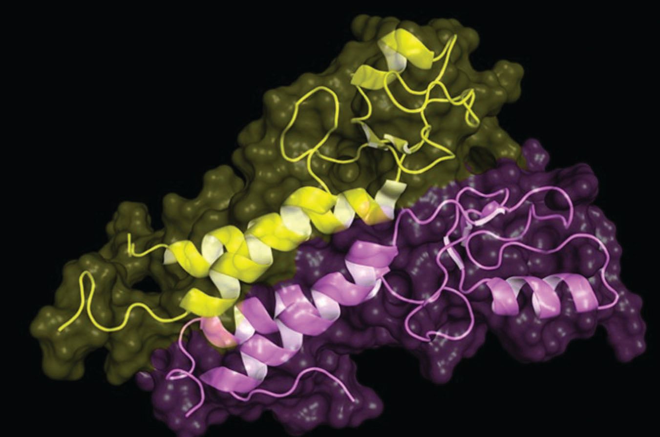 Gilteritinib Changes Aml Landscape Gilteritinib Changes Aml Landscape