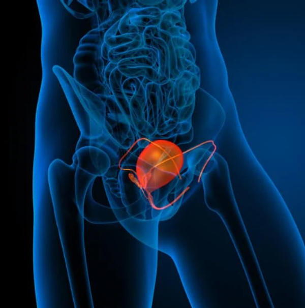 SBRT Matches Disease Control of Prostatectomy in Localized Prostate Cancer