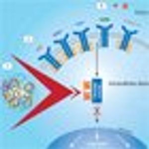 New Targets and New Mechanisms in Lung Cancer