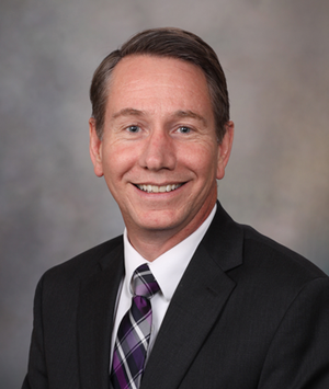 Targeting the Tumor Microenvironment in Lymphoma