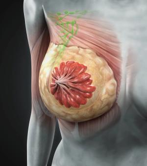 Trastuzumab pamirtecan’s developers plan to discuss next steps regarding a submission of a biologics license application for this breast cancer population.