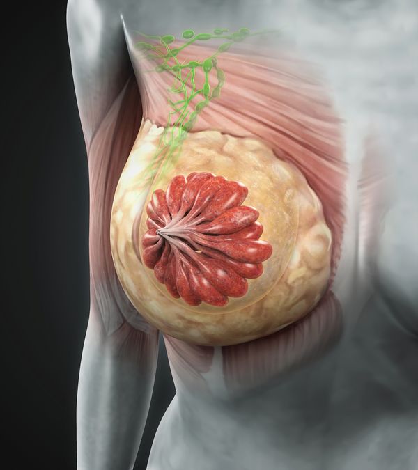 Trials slated for presentation at the 2025 ESMO Congress may reveal practice-changing data across different breast and lung cancer populations.