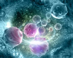 CAR-HEMATOTOX scores may enable risk stratification of patients with mantle cell lymphoma prior to treatment with brexucabtagene autoleucel.