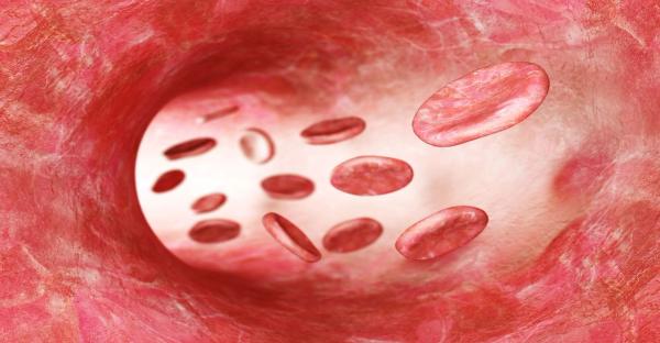 Findings from the phase 1/2 BRUIN trial support the Notice of Compliance with conditions for pirtobrutinib in this relapsed/refractory population.