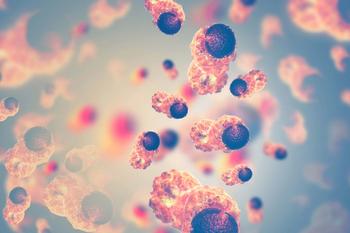 Among patients with NPM1-mutated and KMT2A-rearranged disease, respectively, the ORR was 65% and 41% in the phase 1 KOMET-007 trial.