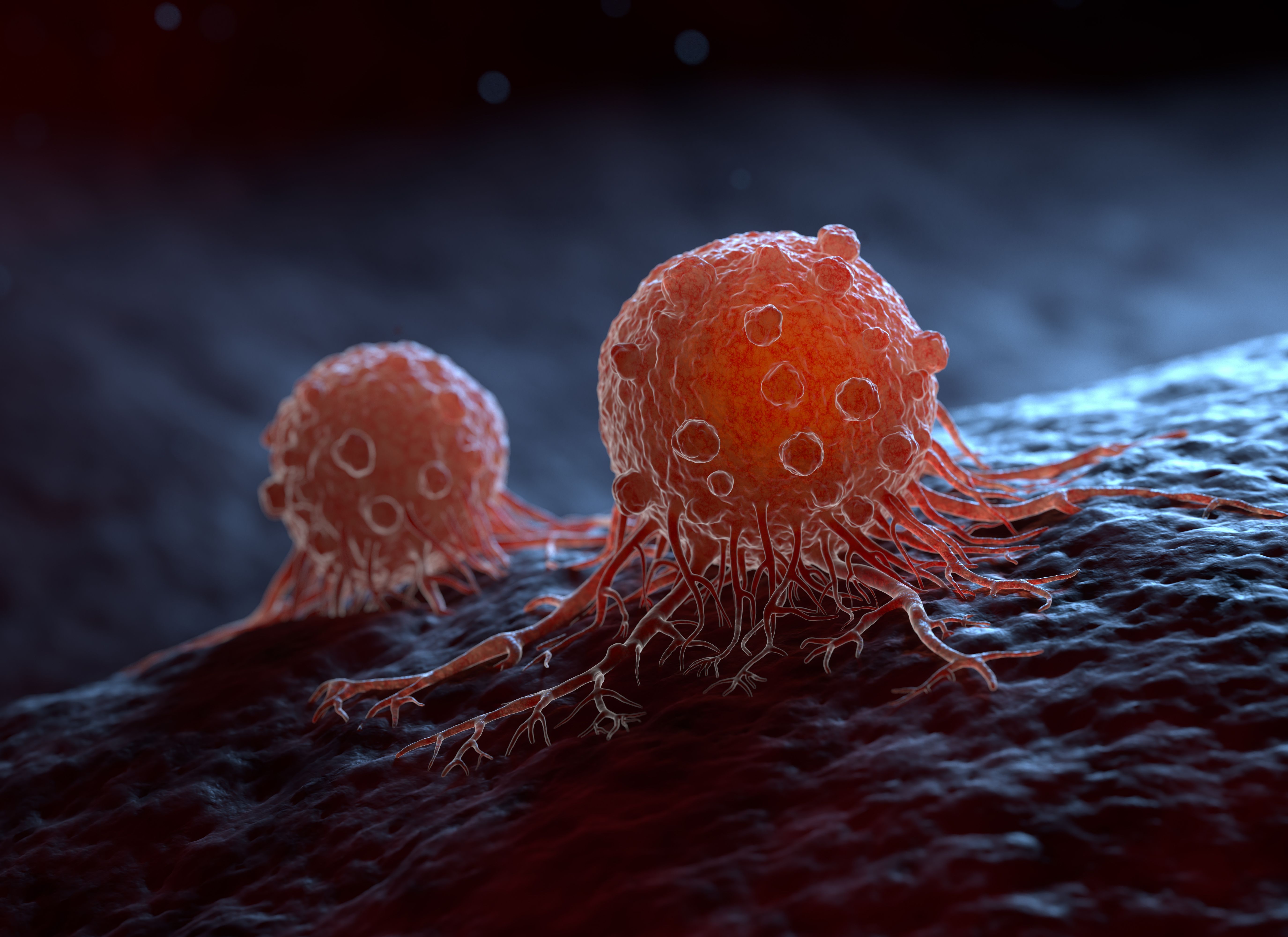 A migrating cancer cells | Image Credit: © Tatiana Shepeleva - stock.adobe.com