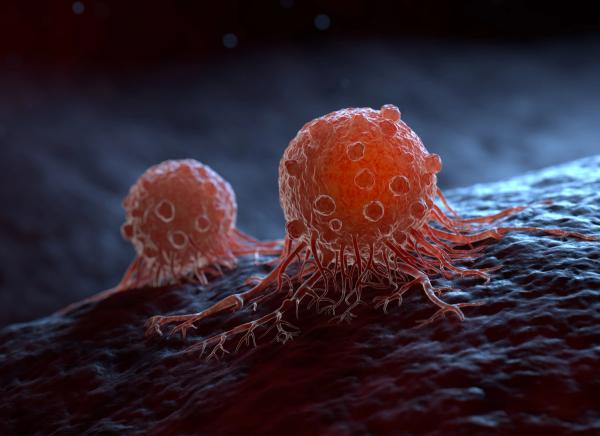 A migrating cancer cells | Image Credit: © Tatiana Shepeleva - stock.adobe.com