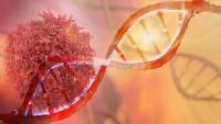 How do we implement AI in a way that serves patients? Expert radiation oncologists discuss the crucial question.