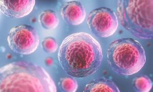 Patients with chemotherapy-refractory, high-risk acute myeloid leukemia achieved promising benefit from treatment with ficlatuzumab and cytarabine.