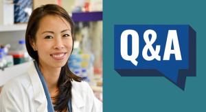 Novel Therapies in Development for HER2-Amplified Breast Cancer