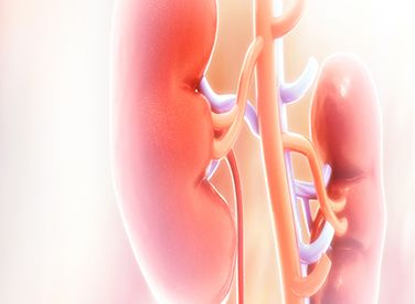 New findings indicate that historically underserved patient populations with renal cell carcinoma are more likely to receive non–guidance-based treatment.