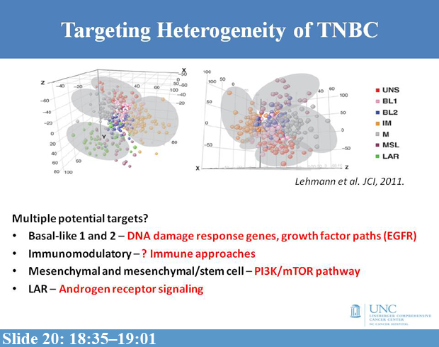 Treating Triple-Negative Breast Cancer