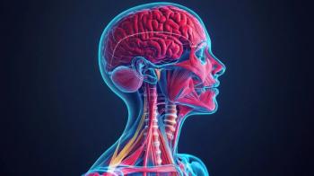 Detailed anatomical illustration of the head and neck | Image Credit: © Lemdah - stock.adobe.com