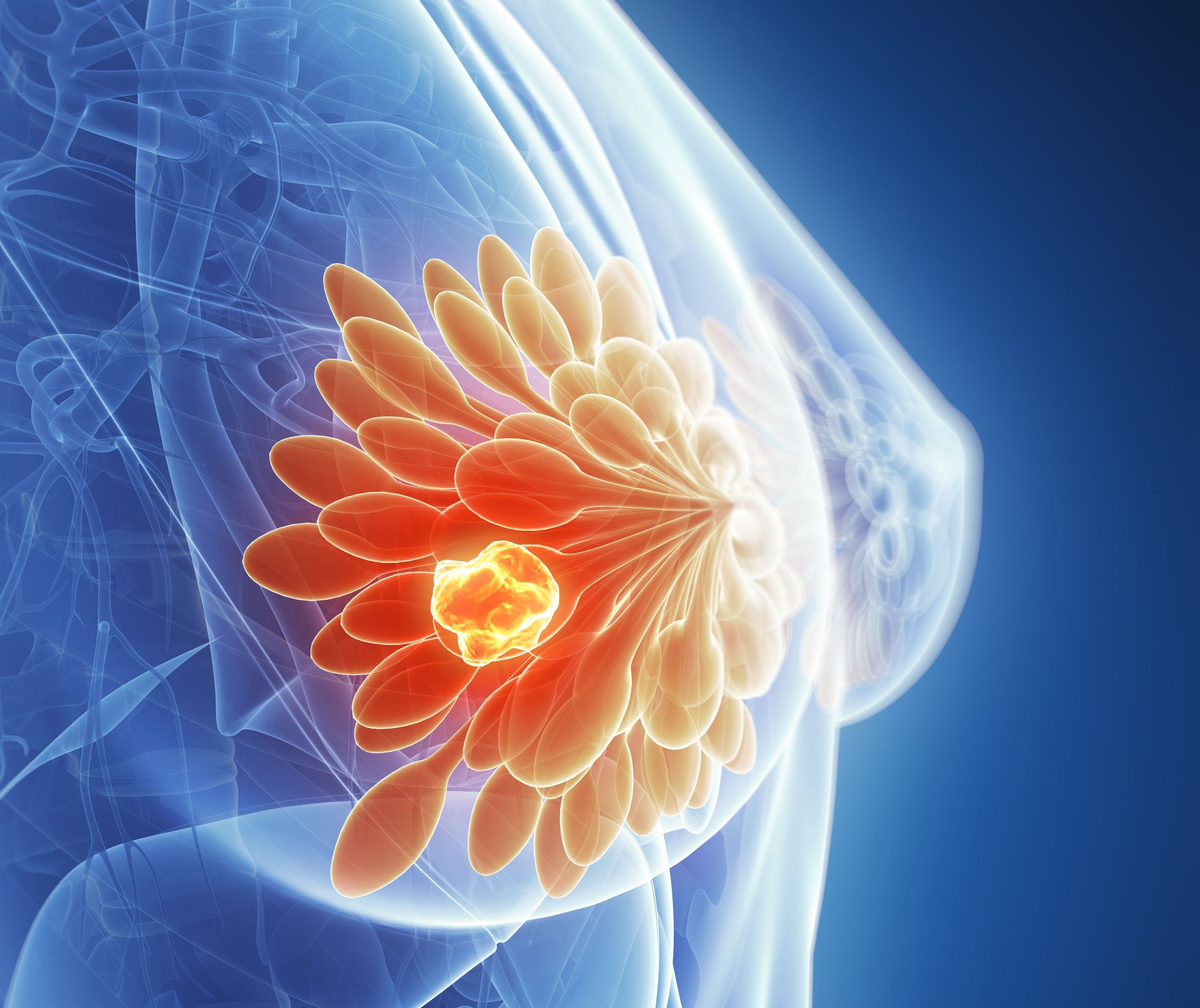 66b3af25e86a5d84edad91cba7360f2160760590-3750x5000.jpg?rect=809,1443,2941,2471&auto=format