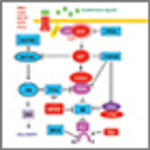 The Cancer Genome Atlas: Clinical Applications for Breast Cancer