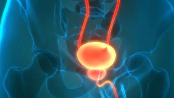Human Urinary System Kidneys with Bladder Anatomy | Image Credit: © magicmine - stock.adobe.com