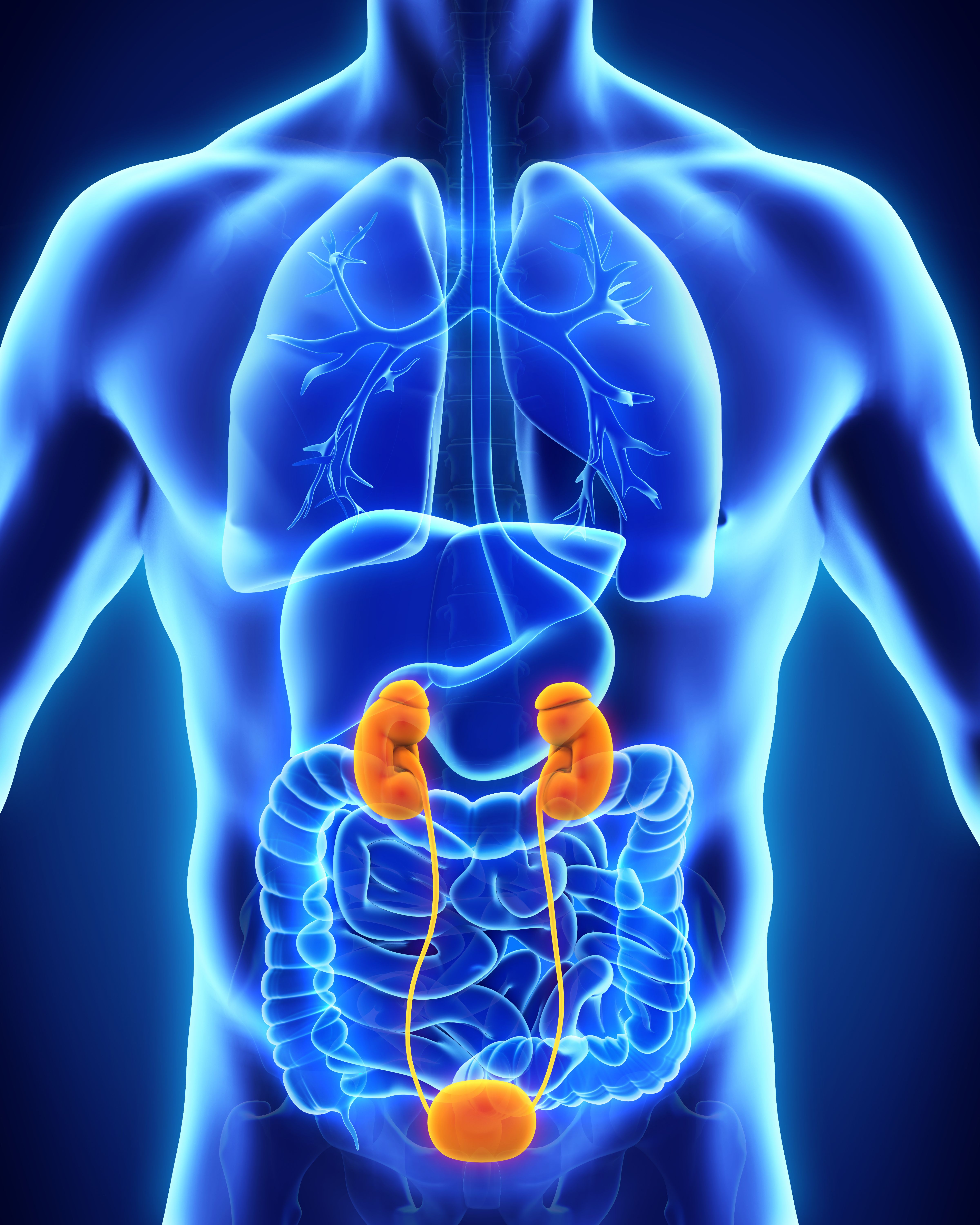 Patients with Bacillus Calmette-Guerin–unresponsive non-muscle invasive bladder cancer experienced a disease-free survival benefit when treated with intravesical Bacillus Calmette-Guerin and a novel IL-15 superagonist complex .