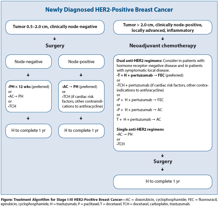 Her2 Targeted Therapy For Early Stage Breast Cancer A Comprehensive Review