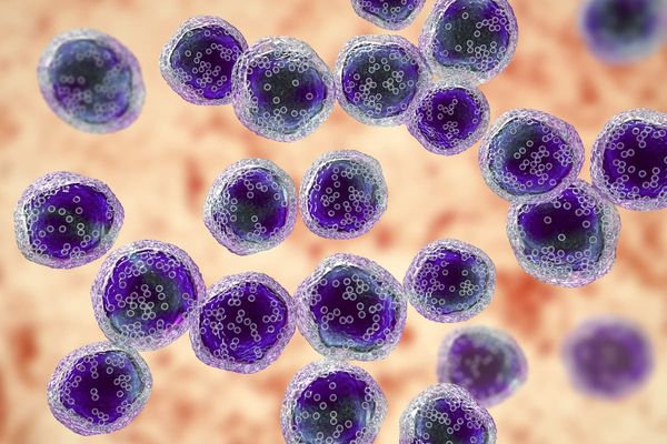 In the phase 1b CAMMA 1 trial, cevostamab plus pomalidomide and dexamethasone produced overall response rates of 86.2% to 88.0%.