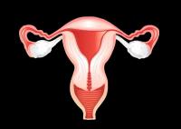 The FDA granted FTD to CTIM-76, a CLDN6/CD3 bispecific antibody, for the treatment of patients with CLDN6-positive platinum-resistant ovarian cancer.