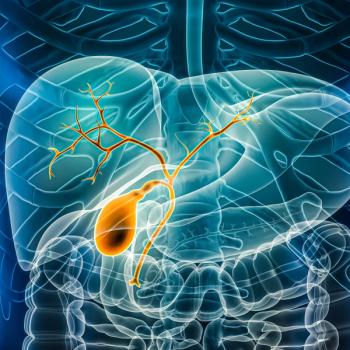 Zanidatamab Improves Clinical Benefit Rate in Advanced Biliary Tract Cancer