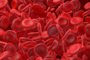 High Rate of Response Noted in MCL and CLL With Cirmtuzumab Plus Ibrutinib