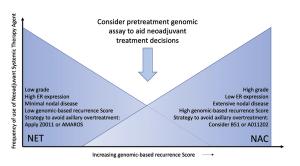 Strategies to Optimize Axillary Surgery in Patients With Breast Cancer Receiving Neoadjuvant Endocrine Therapy