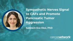 A study published by Sebnem Ece Eksi, PhD, and coauthors, found that sympathetic nerves affect cancer-associated fibroblasts in a way that remodels the tissue environment.