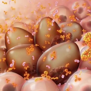 Teclistamab Combo Yields Responses, No New Toxicity in R/R Multiple Myeloma